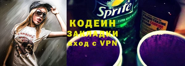 крисы Горняк
