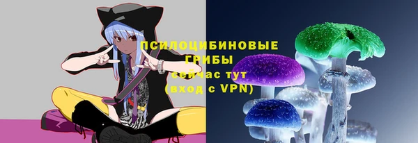 спиды Вяземский