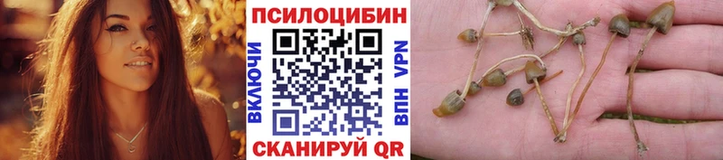 Псилоцибиновые грибы прущие грибы Мценск